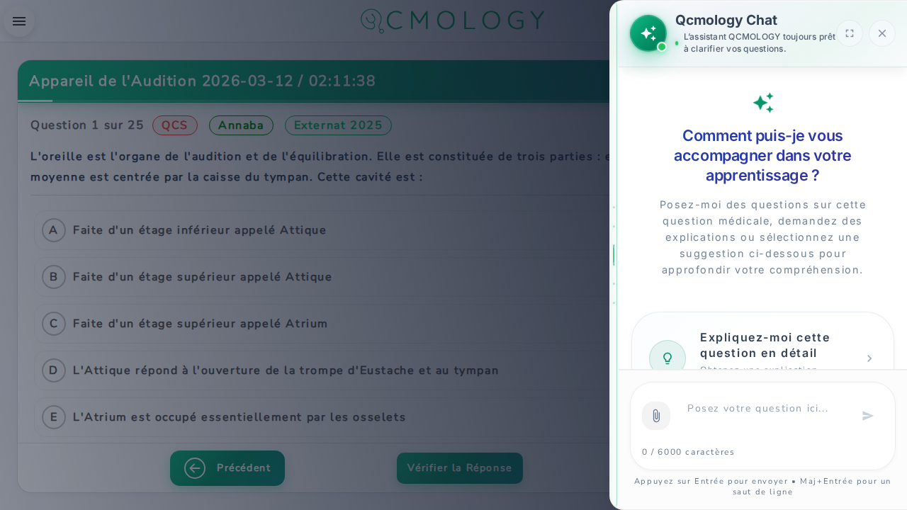 Chat IA ouvert pendant une session de quiz
